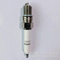 康明斯天然气工程机械 发电机组 机组火花塞2866879/2866879
