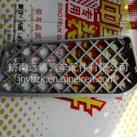 YG1671230012重汽豪沃MAX右侧翼子板防滑踏板I/YG1671230012