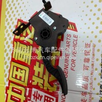 WG9525570018重汽豪沃MAX电子油门总成/WG9525570018