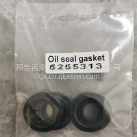 ISF2.8 发动机密封圈5255313/5255313