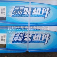 潍柴道依茨排气管/13050511