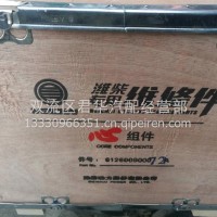 潍柴动力0072四配套/612600900072