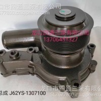 J62YS水泵/J62YS