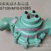 M10-01085水泵/M10-01085