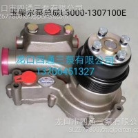 玉柴L3000-1307100E水泵总成/L3000-1307100E