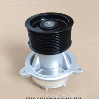 （WP10.5H）1004450212泵头/（WP10.5H）1004450212
