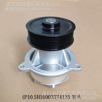 （P10.5H）1003374135泵头/（P10.5H）1003374135