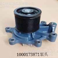 WP13系列1000173871泵头/1000173871
