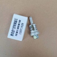 适用潍柴天然气发动机废气控制阀滤芯废气阀滤芯/13071628