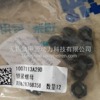 锡柴6DL锁紧螺母1007113A29D/1007113A29D