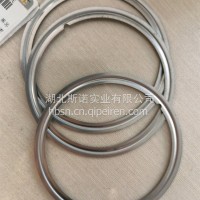 龙擎密封垫/1203069-E9500