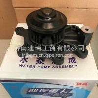 612630061109潍柴动力WP12发动机水泵/612630061109