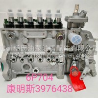无锡威孚6P704喷油泵总成 3976438 工程机戒康明斯6CTA8.3_240ps//3976438