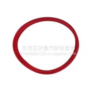 东风猛士EQ2050B轮胎密封圈（单根装）/3101V4-058