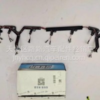 611600080105潍柴WP10H喷油嘴线束/611600080105