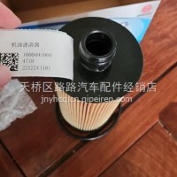 1000491060潍柴锐动力机油滤清器 /1000491060