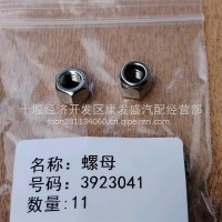 东风康明斯发动机配件锁紧螺母/3923041