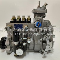 东方红BH4PY110Y147BZ洛拖高压油泵总成/4PY105