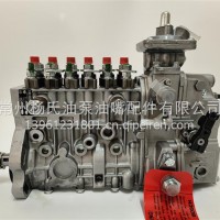 康明斯PES6WM100/120RS1238喷油泵总成/6561801312