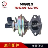 NC493QB-1207100 云内EGR阀LS28EB4/NC493QB-1207100