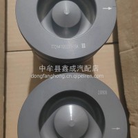 雷沃铂金斯电喷活塞/T724410033/11034