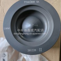 雷沃铂金斯共轨活塞/T724410040
