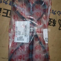 东风风扇皮带/C3972382