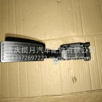 加速踏板总成/11080101036D111A