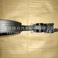 加速踏板总成/11080101036D111B