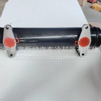 山东富斯特厂家直销机油冷却器/N14_3413091