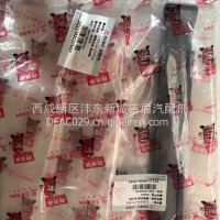 东风福瑞卡原厂燃油箱扎带/1101110-Z74316