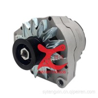 供应612600090206D Weichai 潍柴WD615 工程机械系列交流发电机 Alternator JFZ2517A/612600090206D