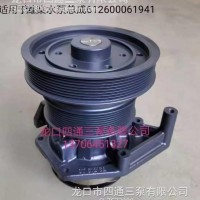 612600061941水泵/612600061941