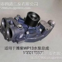 适配1000173871水泵总成/1000173871
