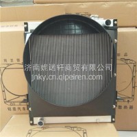 1104913100067福田奥铃捷运汽车散热器水箱/1104913100067
