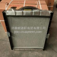 103013010015山东唐骏欧铃欧冠旗舰版散热器水箱/103013010015