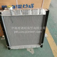 1301010D338江淮轻卡水箱散热器总成/1301010D338