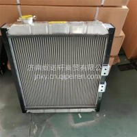 1301010E6480江淮轻卡散热器水箱总成/1301010E6480
