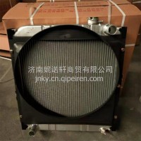104113010014唐骏欧玲系列水箱散热器总成/104113010014