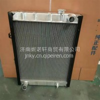 1301010D6670江淮轻卡散热器水箱总成/1301010D6670