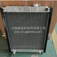 104113010015唐骏欧玲水箱散热器总成/104113010015