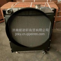 104013010003唐骏欧玲水箱散热器总成/104013010003