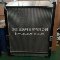 L013002015GA0福田时代轻卡系列水箱散热器总成/L013002015GA0