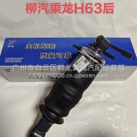 柳汽乘龙H63后气囊/H63-5001550