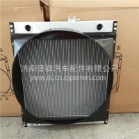 1301010E870江淮威铃散热器水箱/1301010E870