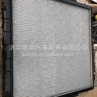 1301010-DA99青岛一汽解放虎V虎VH虎VN虎VMJ6F水箱散热器总成/1301010-DA99
