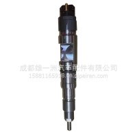 中国重汽（SINOTRUK）适用于豪沃ZZ1167喷油器/200V10100-6126