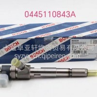 0445110843A博士喷油器/0445110842A