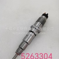 5263304喷油器 /5263304