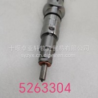 5263304喷油器 /5263304